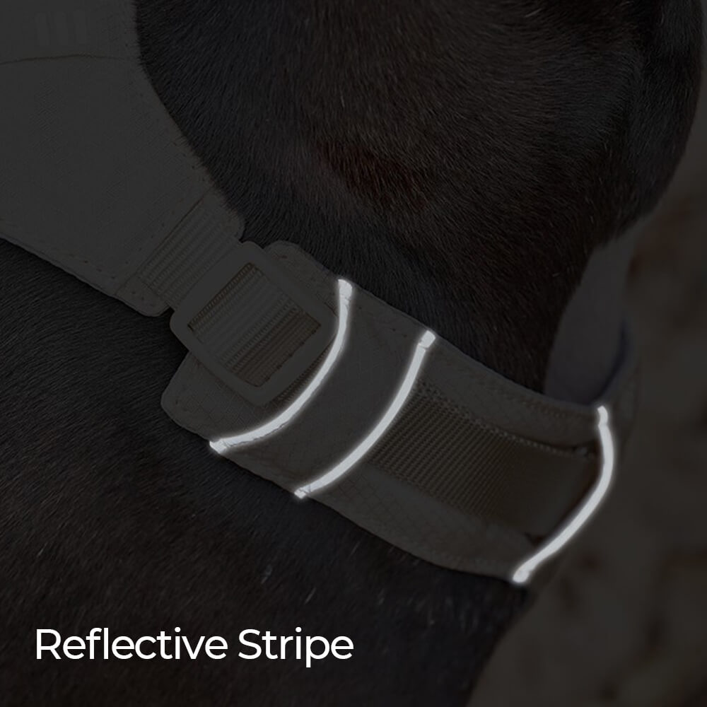 Imbrigliamento per cani anti-pull e traspirante impermeabile leggero o guinzaglio multifunzionale