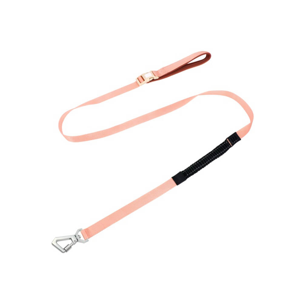 Imbrigliamento per cani anti-pull e traspirante impermeabile leggero o guinzaglio multifunzionale