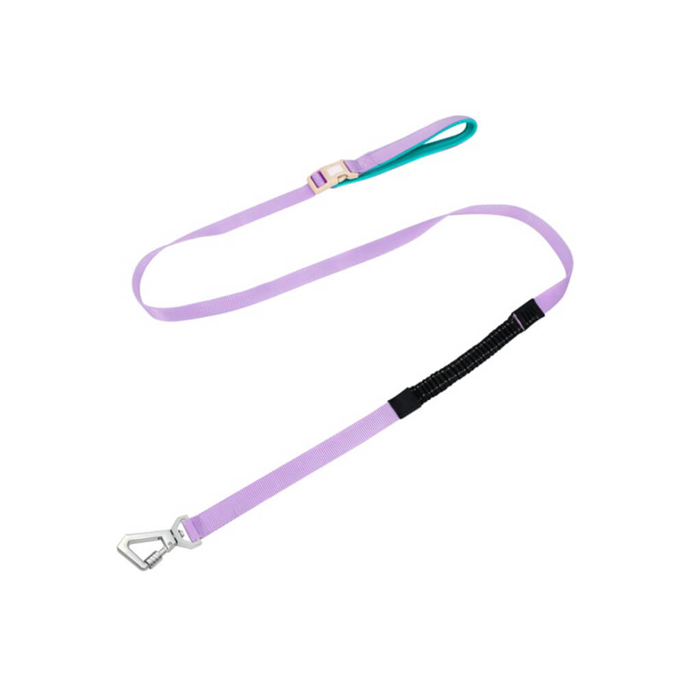 Imbrigliamento per cani anti-pull e traspirante impermeabile leggero o guinzaglio multifunzionale