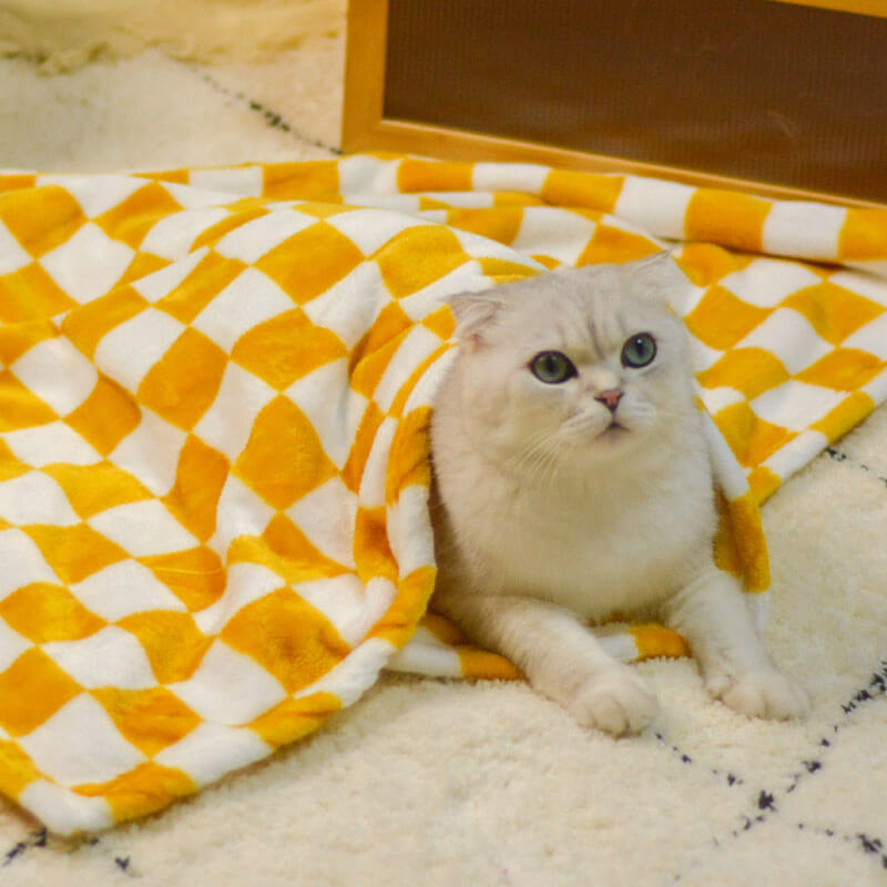 Elegante coperta per pet in flanella a scacchi e coperta per gatti
