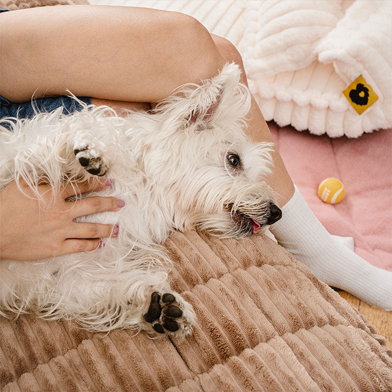 Pare di divani non slip per peper tappetini traspirati in flanella morbida pigra