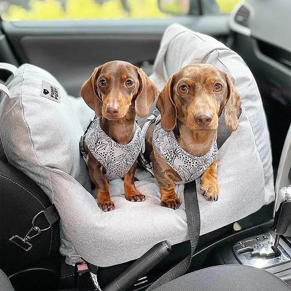 Cama de asiento para el asiento del automóvil para perros de seguridad para perros - Primera clase