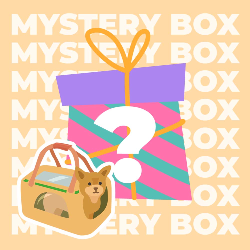 Sicheres Reiseset für Hunde bis 15 kg – 220 $ Wert-Mystery-Box