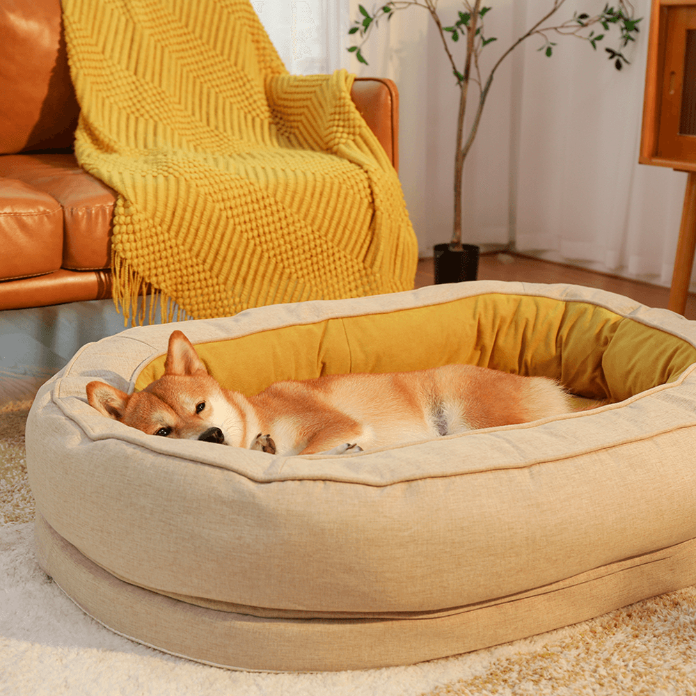 Dog Bed - Donut - FUNNYFUZZY