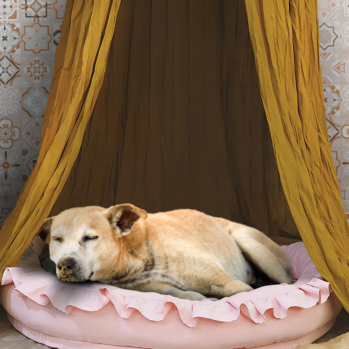 Stylish Soft Cozy Dog Tent Dog Teepee - FUNNYFUZZY