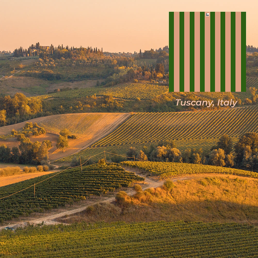 Dog Car Seat Cover- Holiday - FUNNYFUZZY