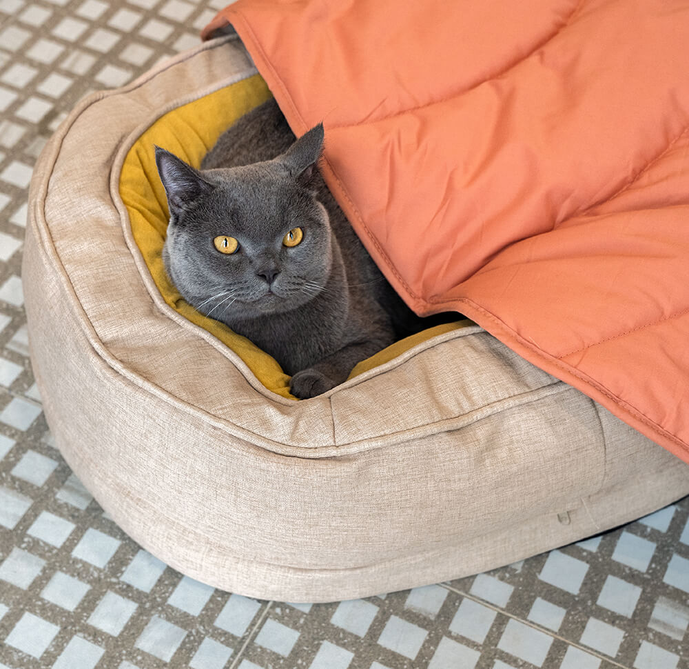 Donut Fluffy Orthopedic Dog Bed - FUNNYFUZZY