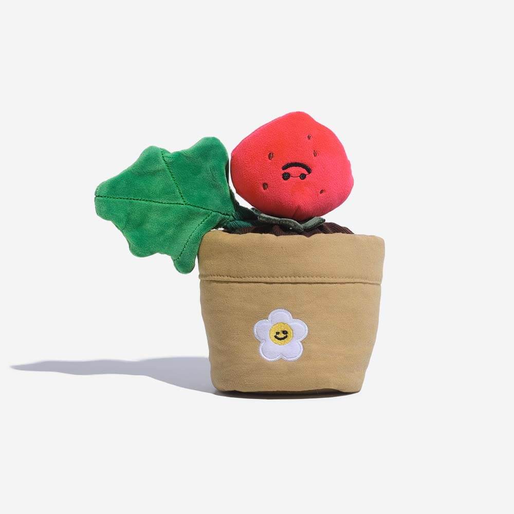 Plush Squeaky Dog Toy - Strawberry Potted - FUNNYFUZZY