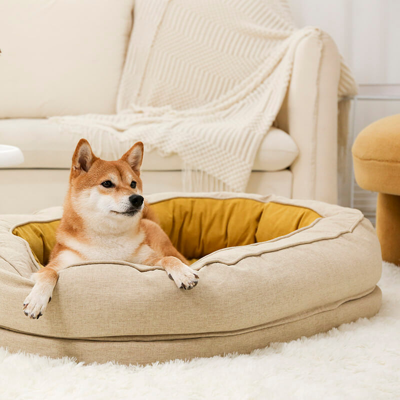 Dog Bed - Donut - FUNNYFUZZY