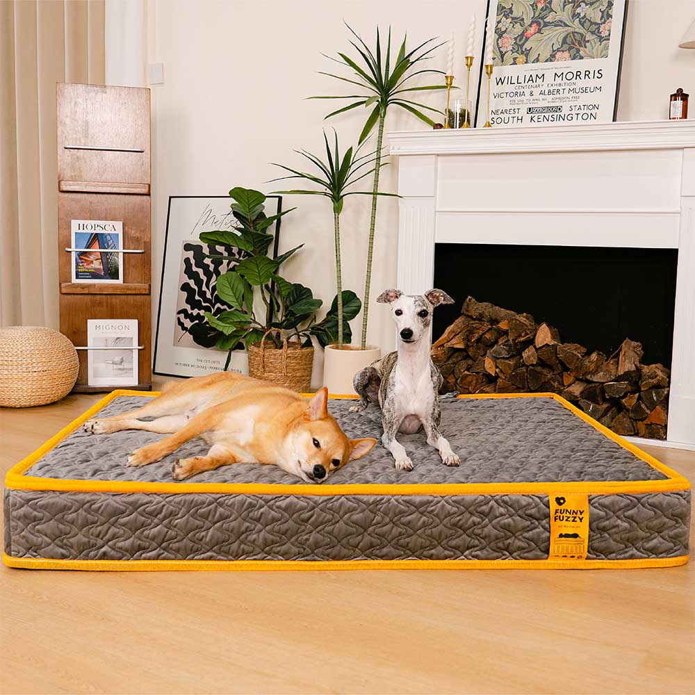 Hooman Innerspring Dog Bed – Ultimate Support for Your Pup