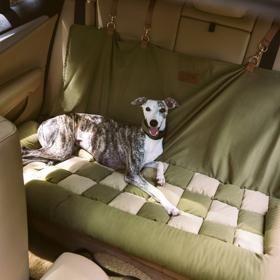 Traveling with Dogs on Long Distance Road Trips