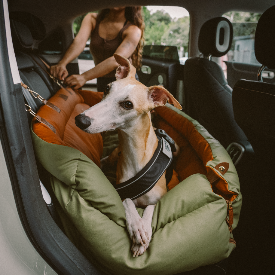 Dog Travel Gear ：The Best Travel Gear For Our Dogs