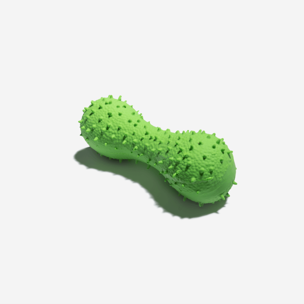 Cactus Shaped Squeaky Dog Toys