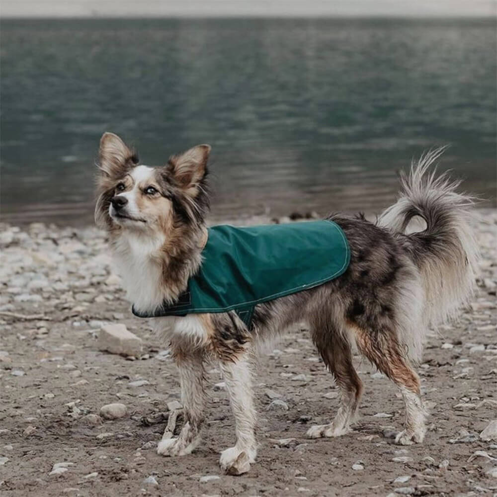 Stylish Lightweight Waterproof Velcro Outdoor Dog Raincoat