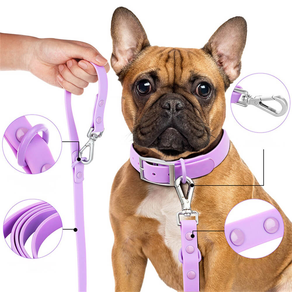 PVC Waterproof Dog Traction Rope | Durable Macron Color Harness&Collar & Dispenser