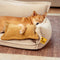 All-Season Chenille Dual-layer Removable Sponge Orthopedic Dog Bed With Pillow