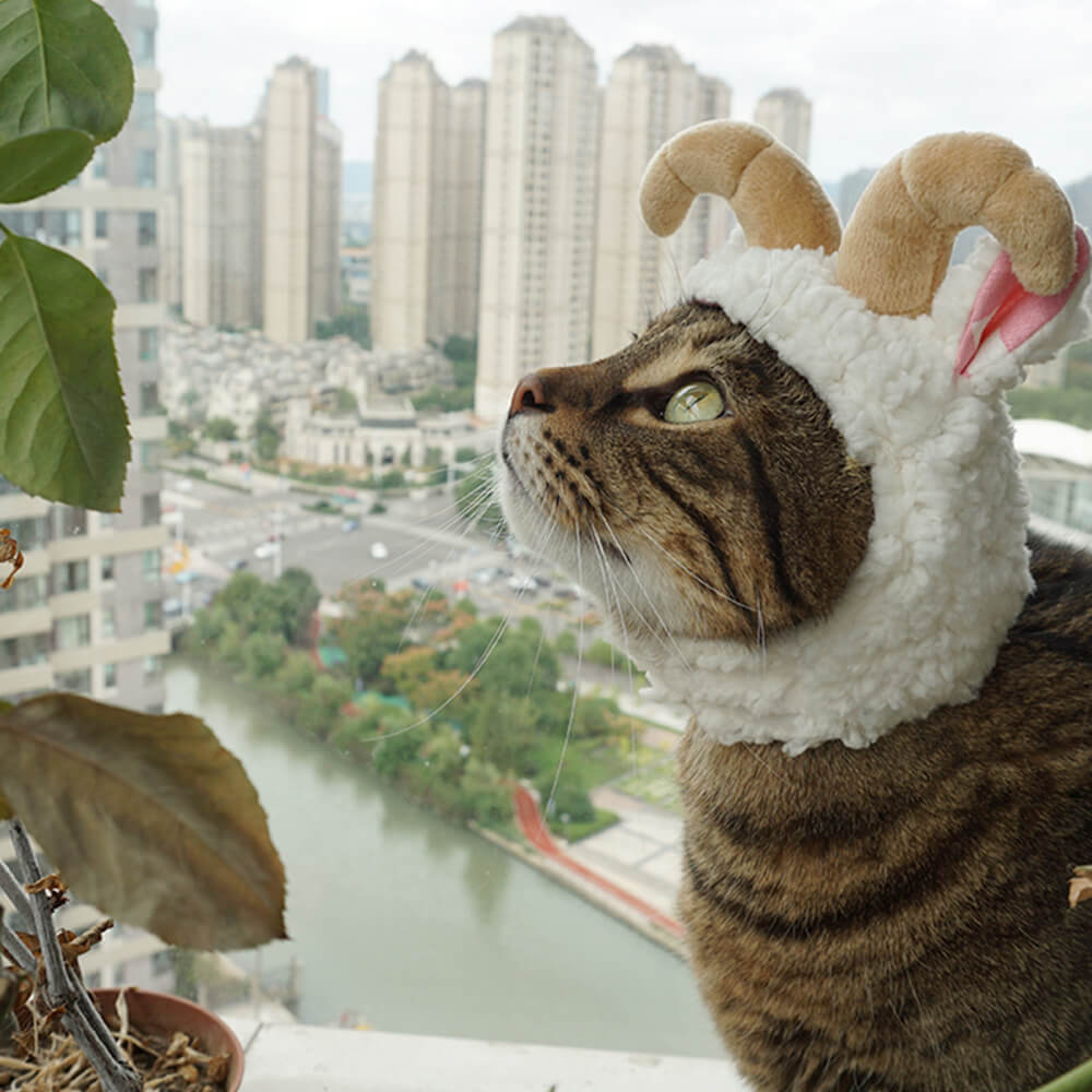 Sombrero para mascota disfraz de Halloween de murciélago unicornio flamenco