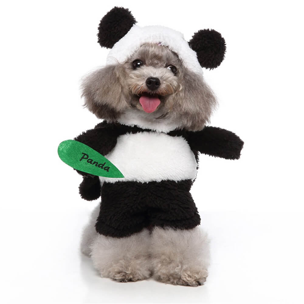 Disfraces divertidos de Halloween para perros cosplay: trajes divertidos y adorables para mascotas