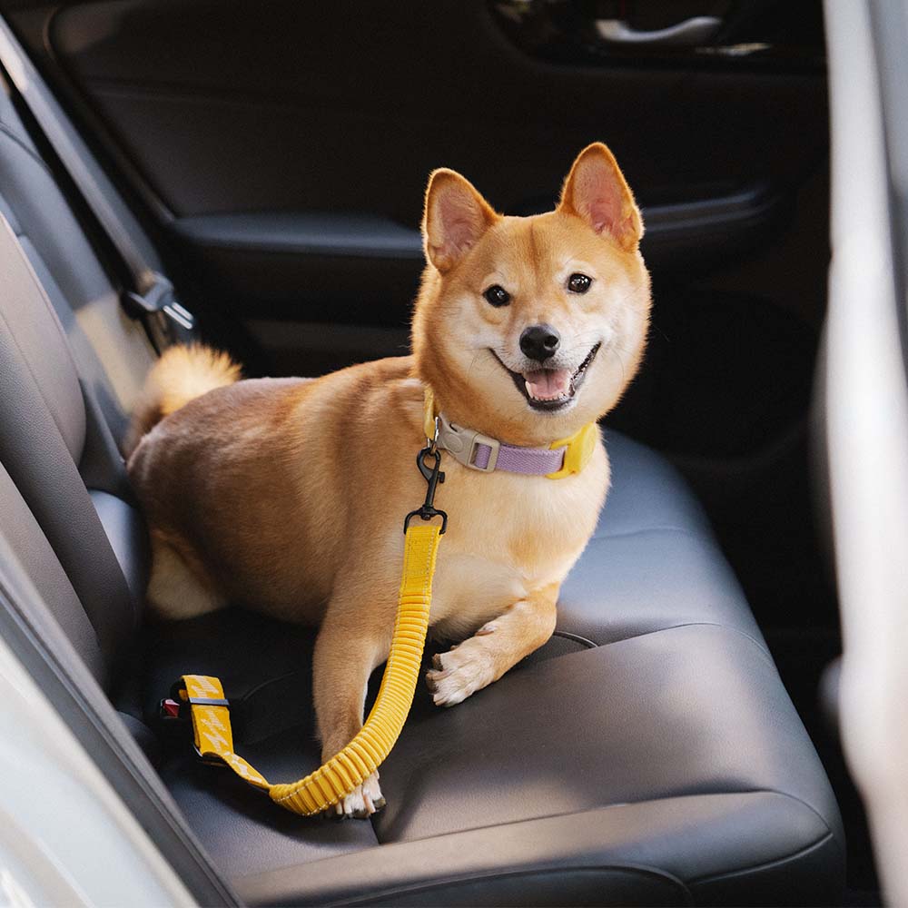 Buffer verstellbarer Cool Dog Zubehör Auto-Sicherheitsgurt