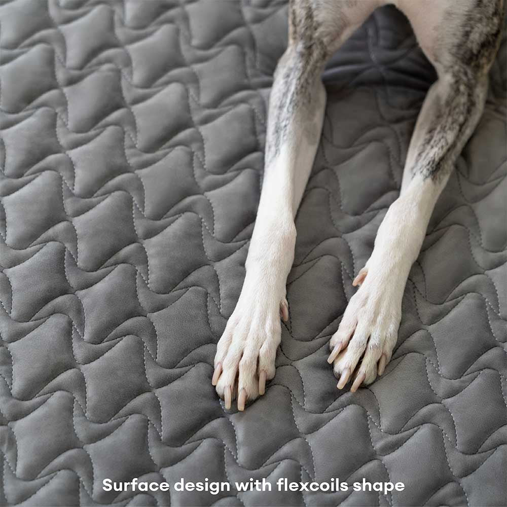 Human-grade Innerspring Coils Orthopedic Human Dog Bed - Everdream