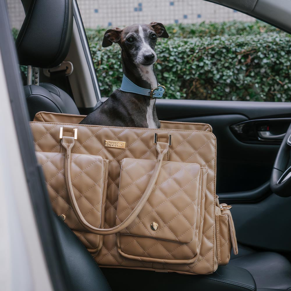 Grand sac de transport élégant et multifonctionnel pour animaux de compagnie, voyage partagé homme-chien - Queue errante