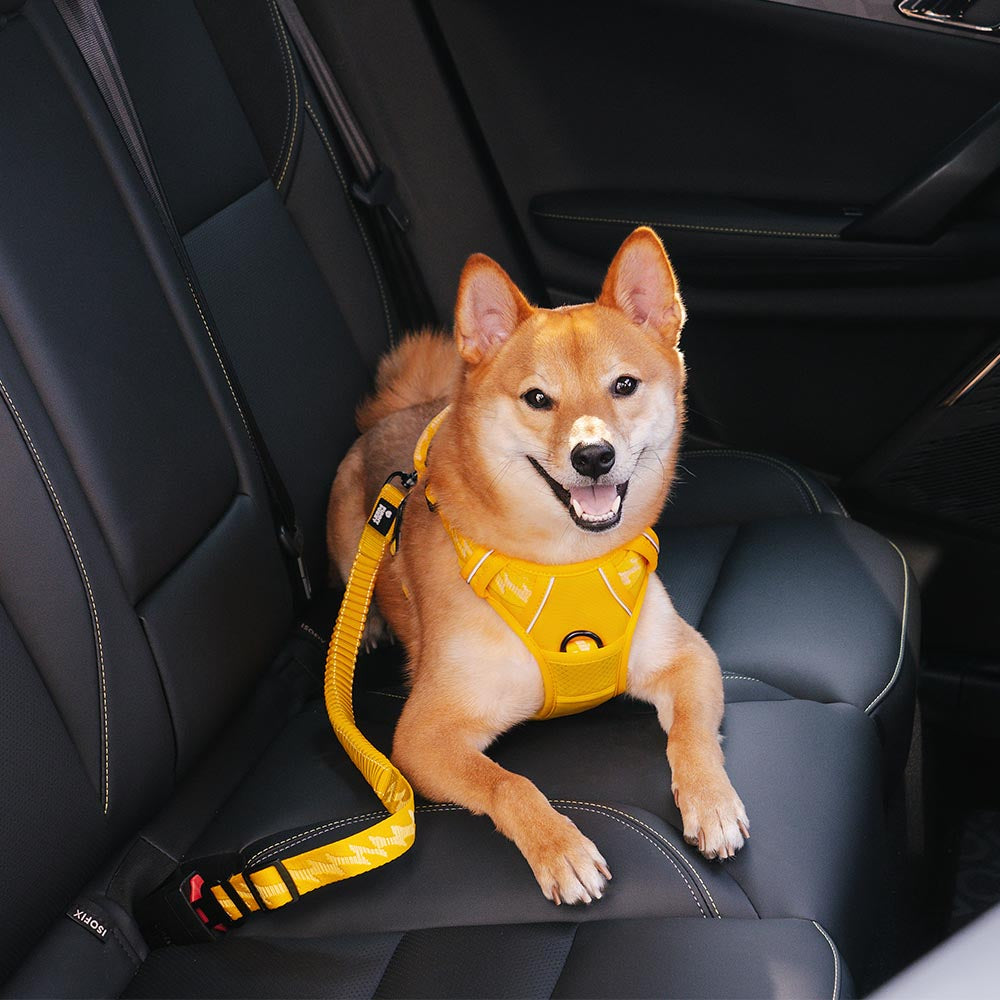 Buffer verstellbarer Cool Dog Zubehör Auto-Sicherheitsgurt