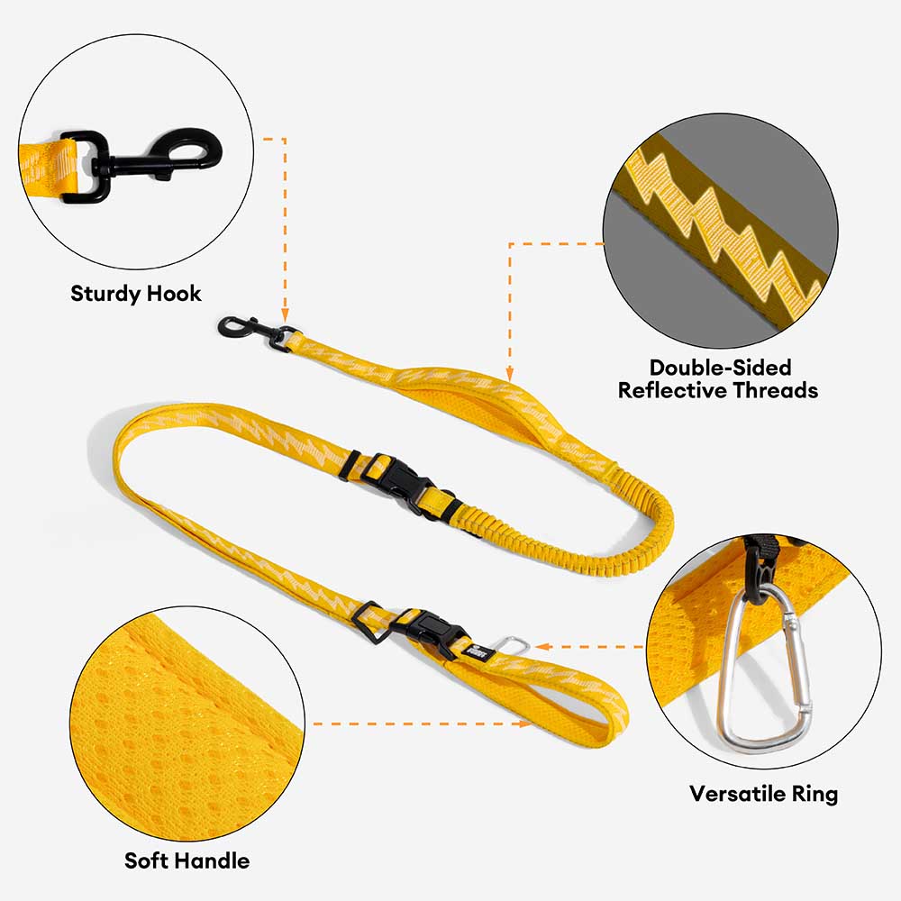 Dual-sided Reflective Adjustable Versatile Soft Handle Nylon Large Dog Leashes - Flexi Walker