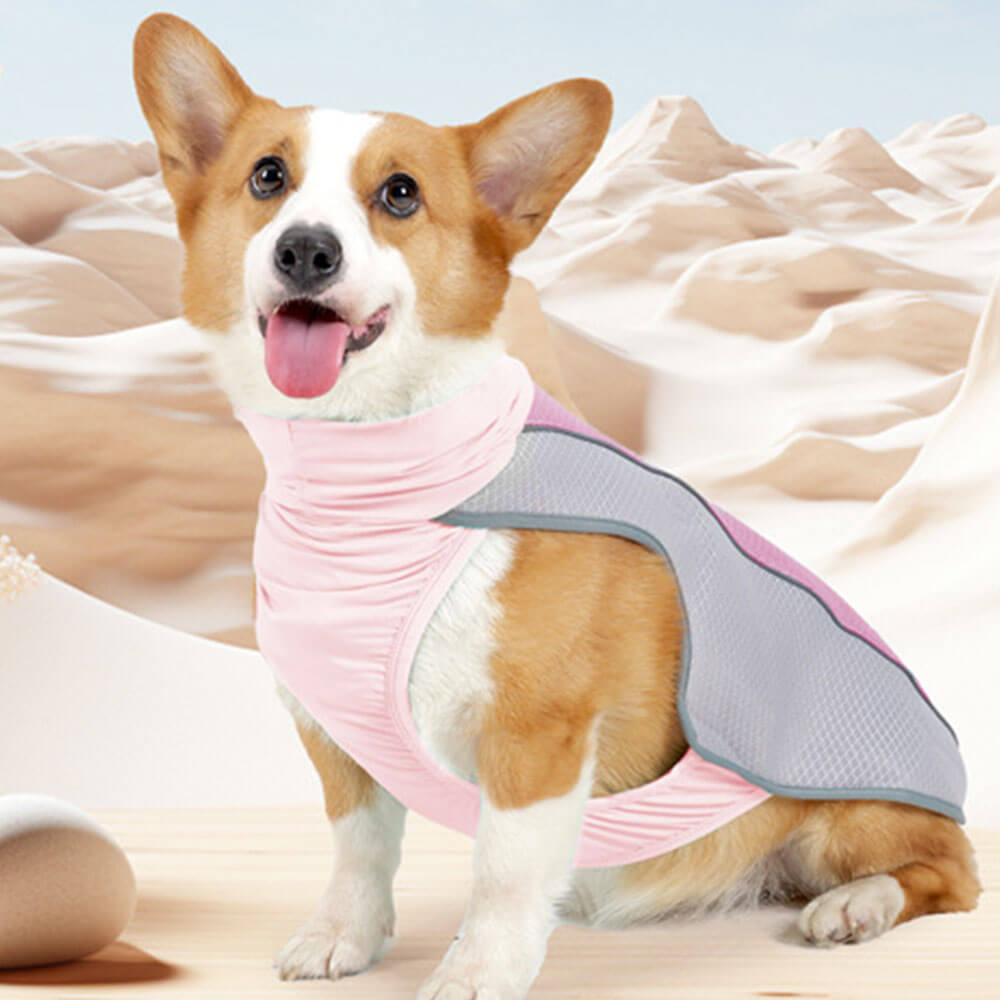 Ropa para mascotas Perro Verano Protección contra el calor - Ropa fresca de hielo para perros