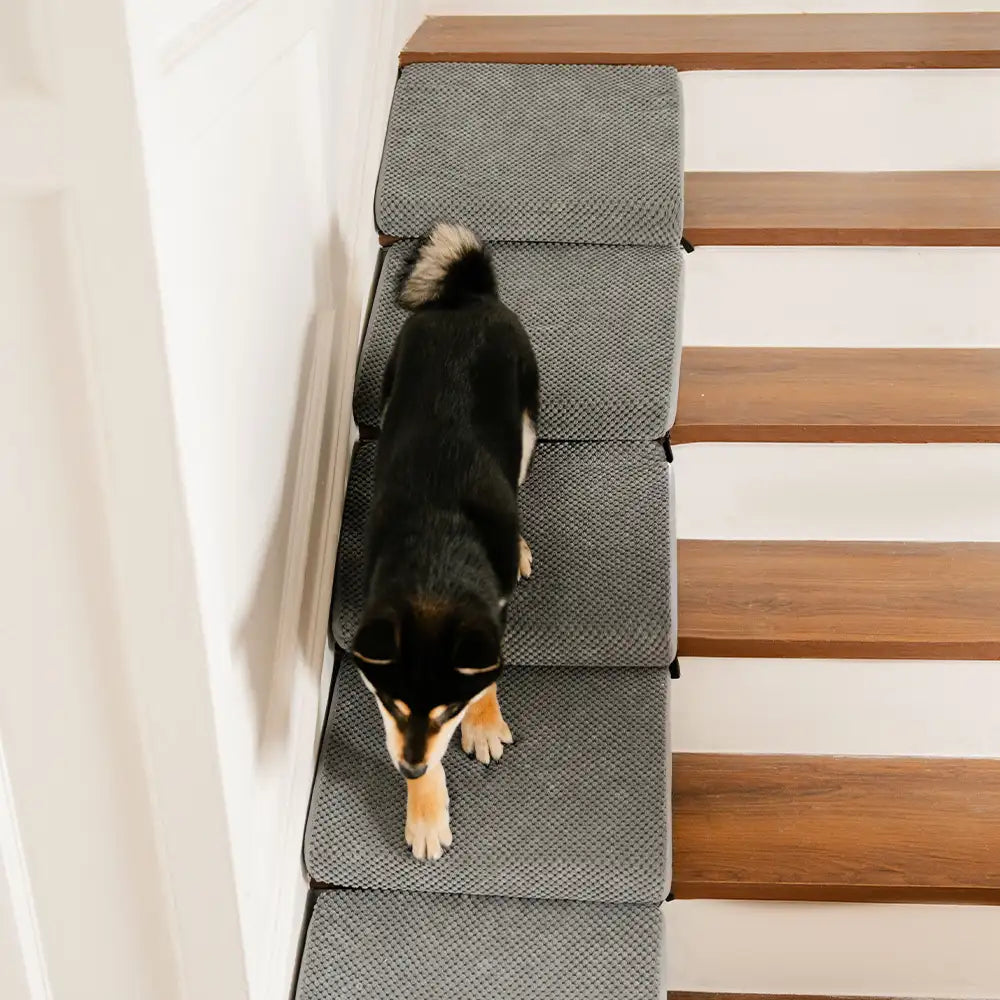 Modular Foam Dog Ramp Stairs for Staircase Stairs with Velcro