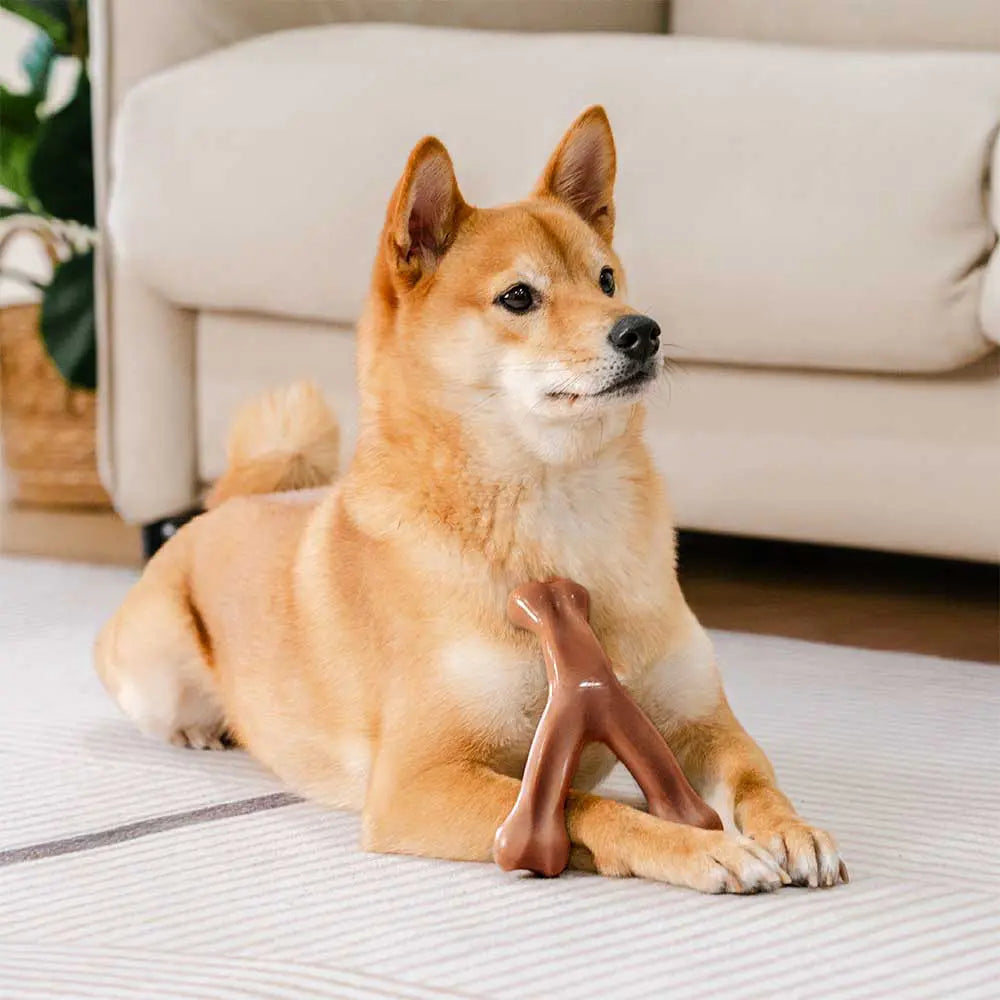 DEETHING BONES CANE MASHEW GIOCHI