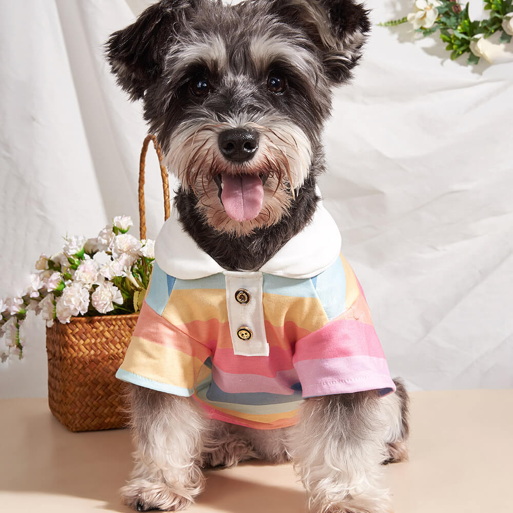 Colorful Striped Dog Polo Shirt with White Collar