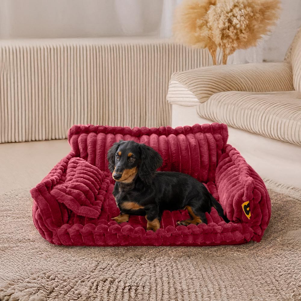 Grand oreiller orthopédique doux et lavable pour chien, canapé-lit, Snoozy Dream