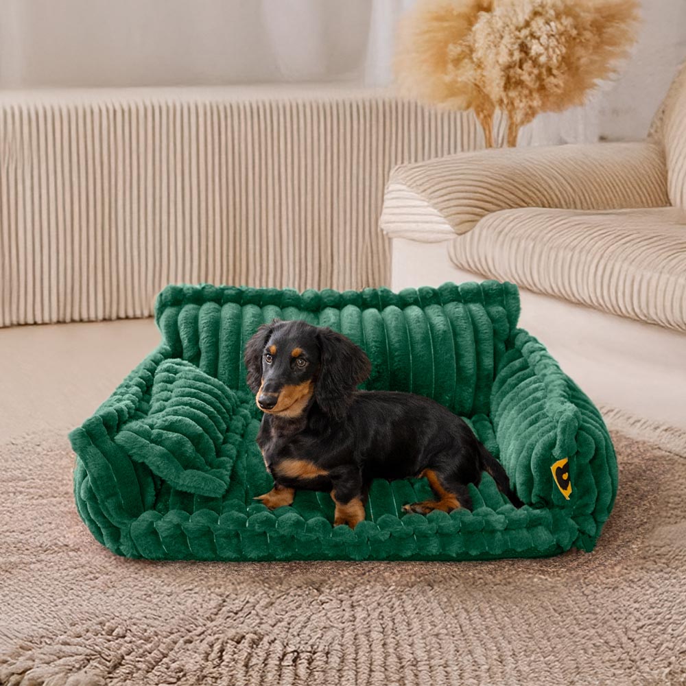 Grand oreiller orthopédique doux et lavable pour chien, canapé-lit, Snoozy Dream