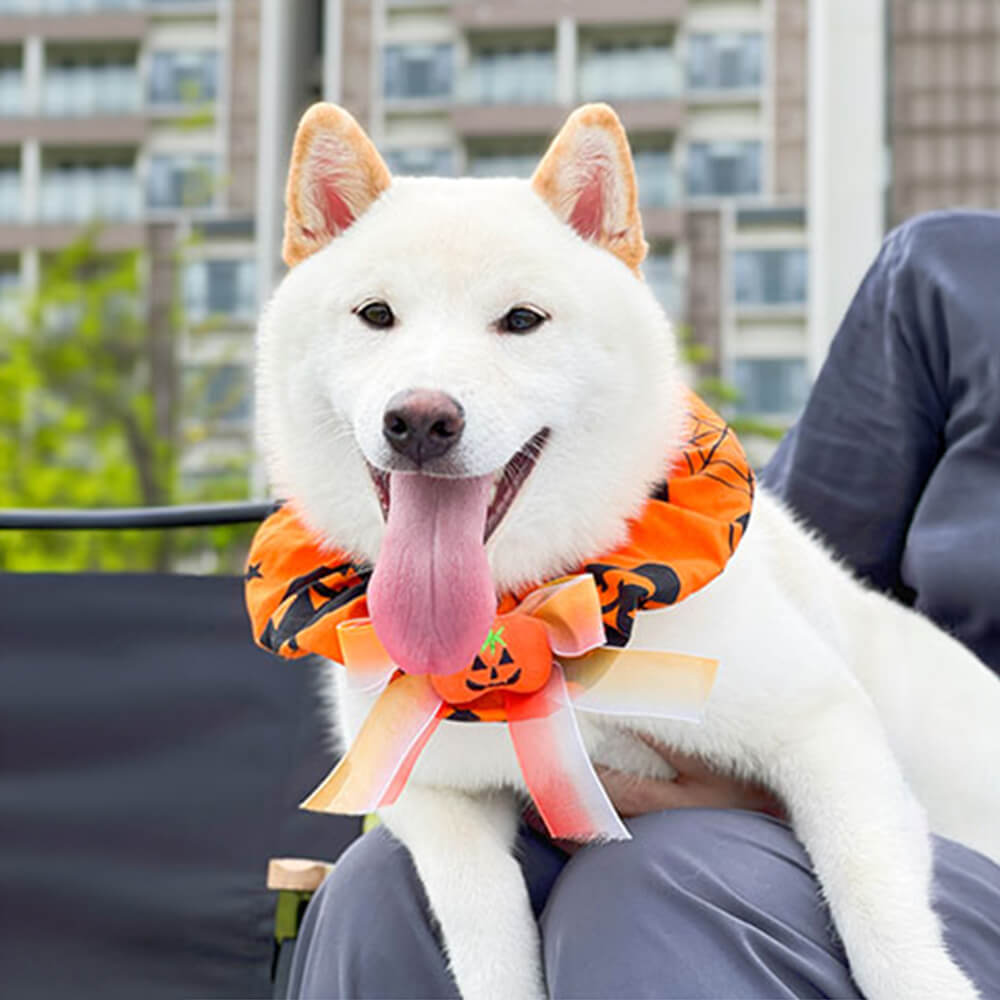 Pañuelo lindo del perro de Halloween con volantes de calabaza Pañuelo