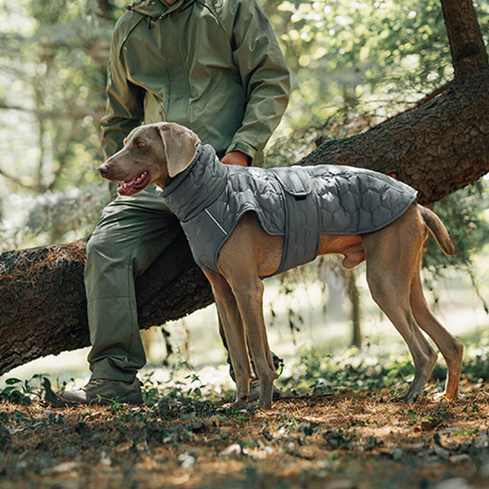 Gilet d'extérieur matelassé pour chien – Chaud et durable pour la randonnée et les aventures