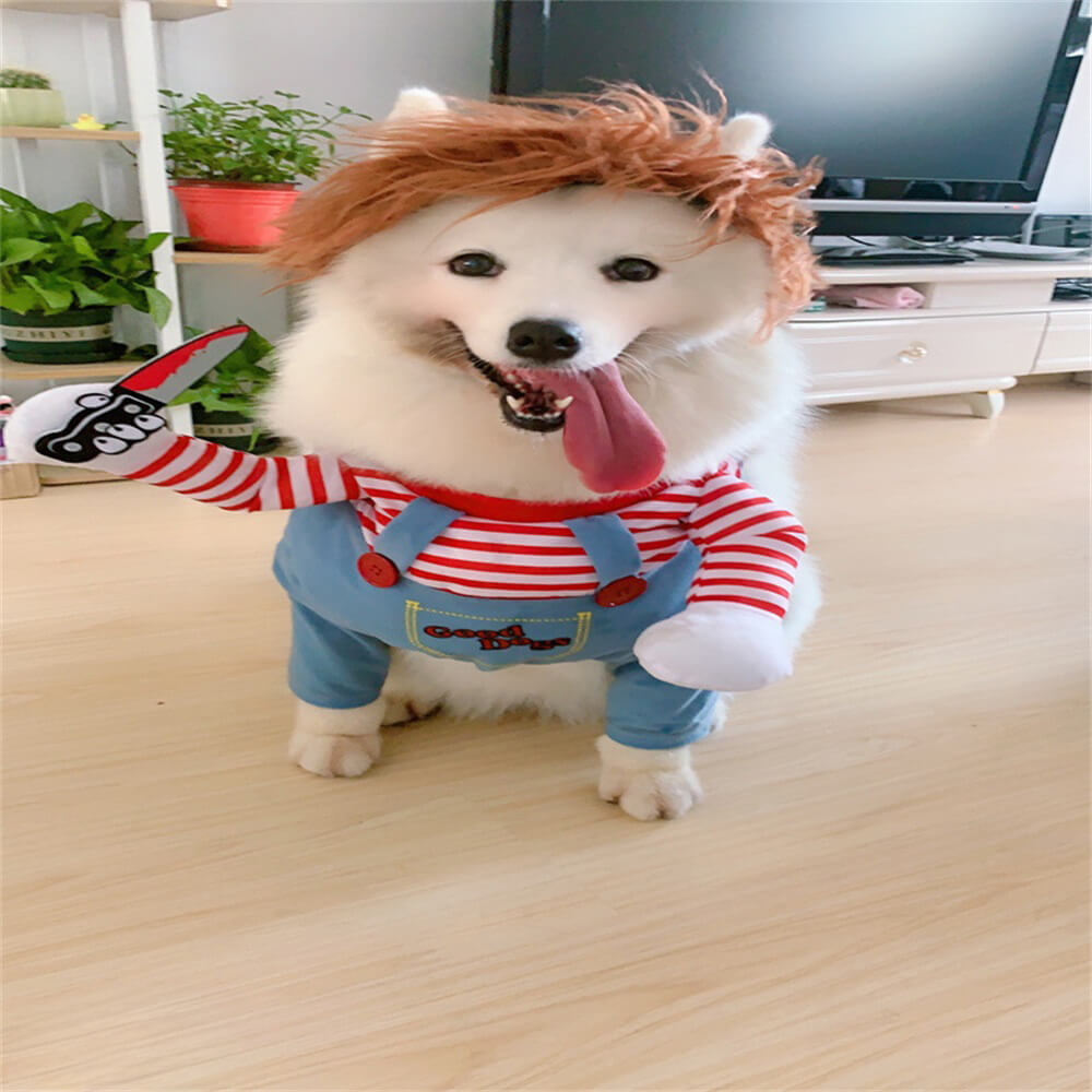 Costume d'Halloween pour chien Chucky Crazy Horror