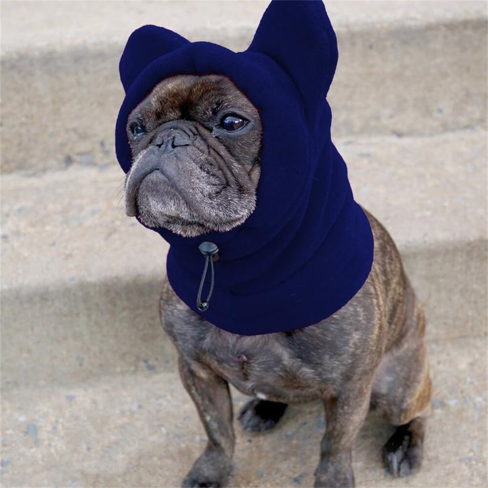 Capuche pour chien en polaire avec oreilles d’ours – Couvre-chef d’hiver amusant et confortable