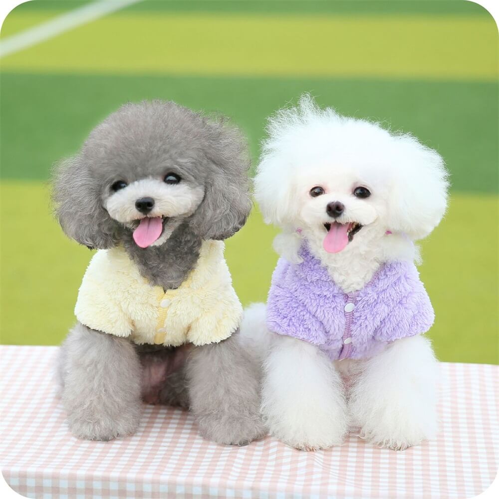 Adorable and Cozy Ice Cream Dog Hoodie – Perfect for Winter Cuddles