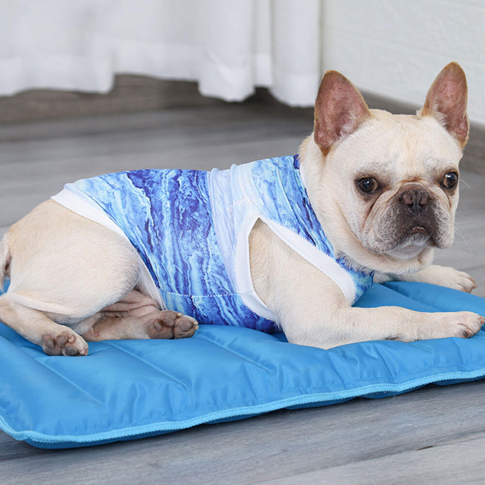 Summer Breathable Cooling Vest Pet Clothing