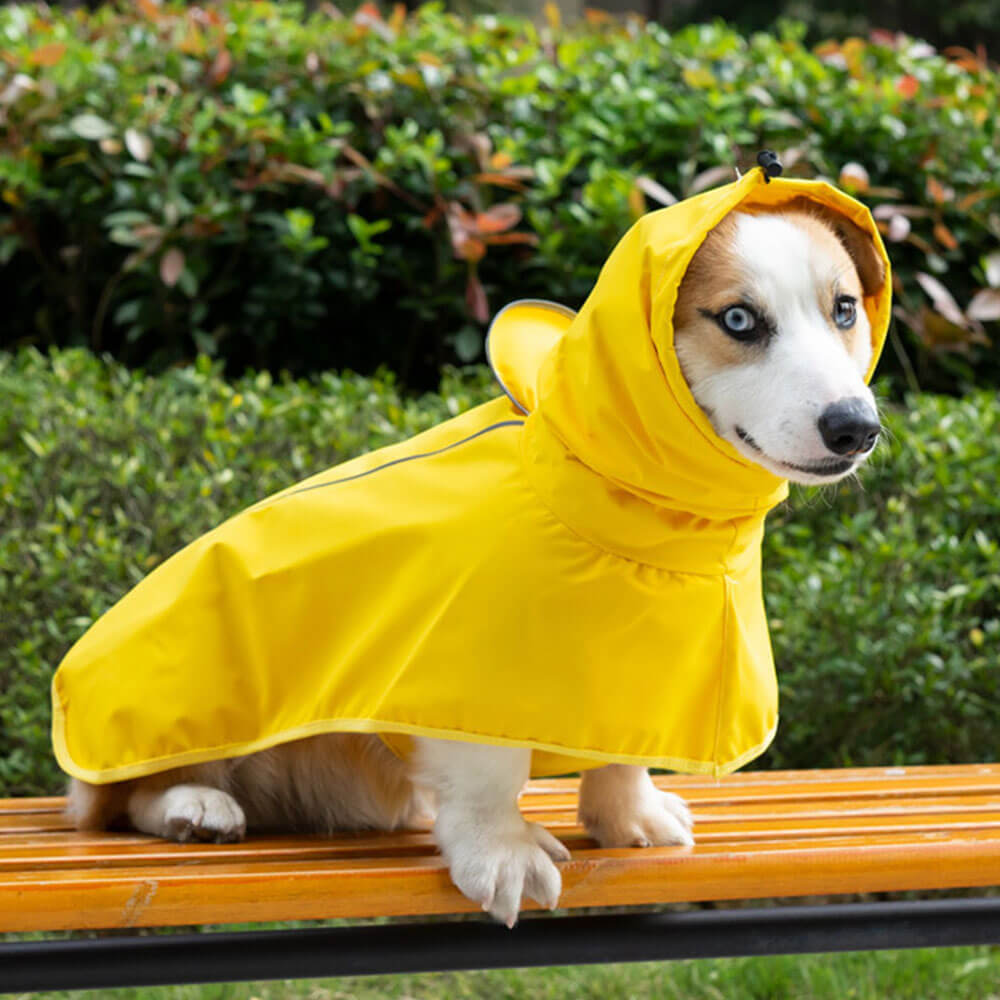 Chubasquero impermeable amarillo para perros con capucha: mantenga a su perro seco y cómodo