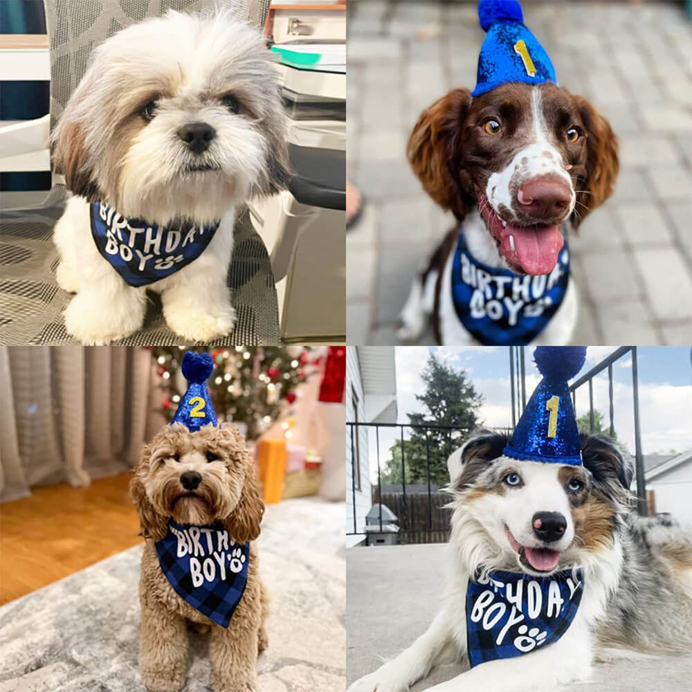 Set de fiesta de cumpleaños para perro, niño y niña, bandana y sombrero de cuadros azules con pegatinas numéricas