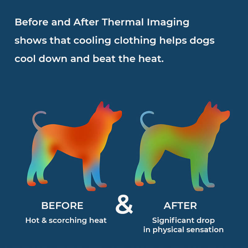 Schnell trocknende Kühlweste für vierbeinige Hunde