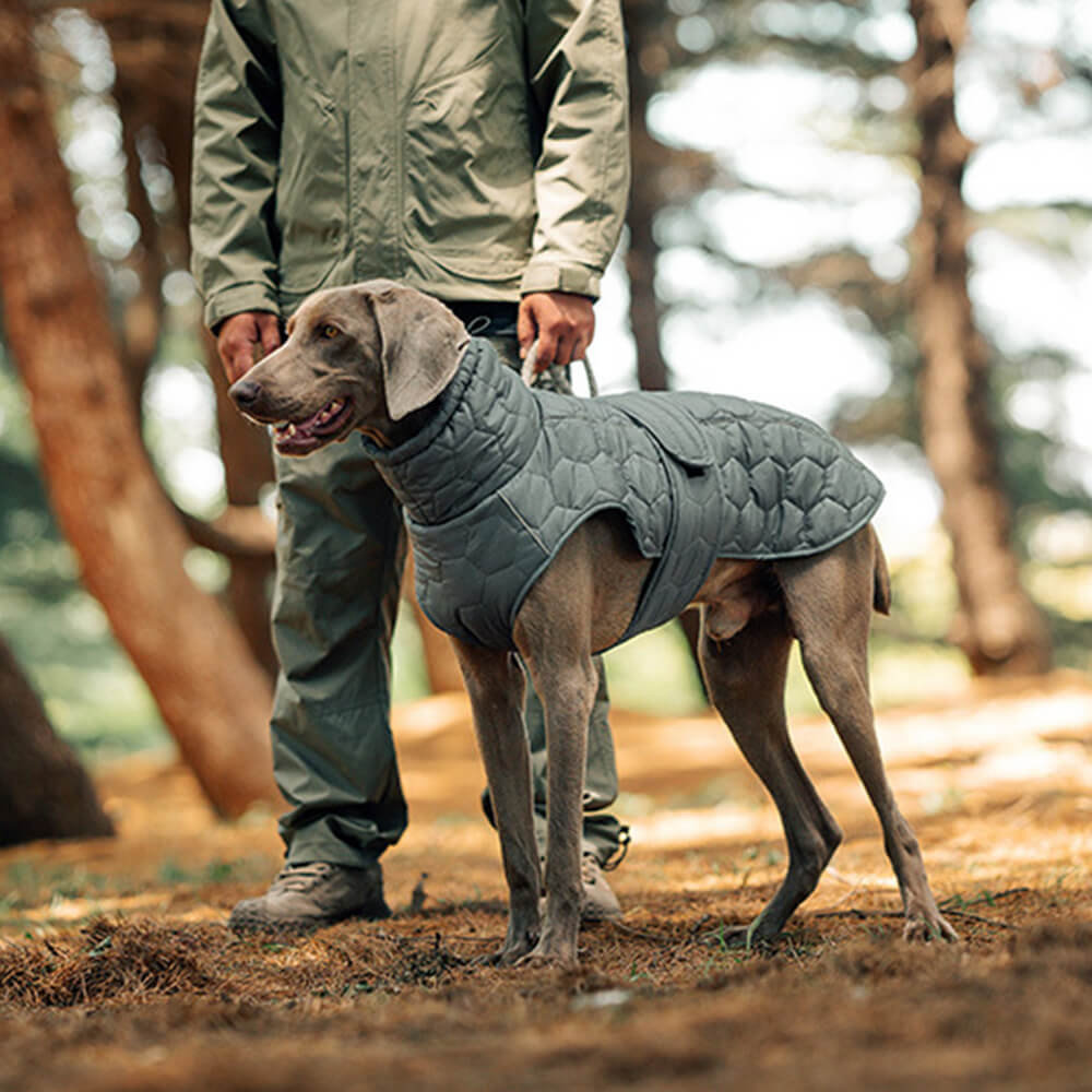 Quilted Outdoor Dog Vest - Warm and Durable for Hiking and Adventures