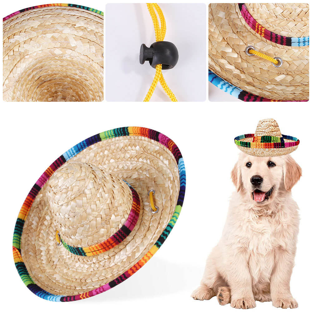 Set de disfraz de gato Fiesta - Sombrero y pañuelo para gatos y perros pequeños