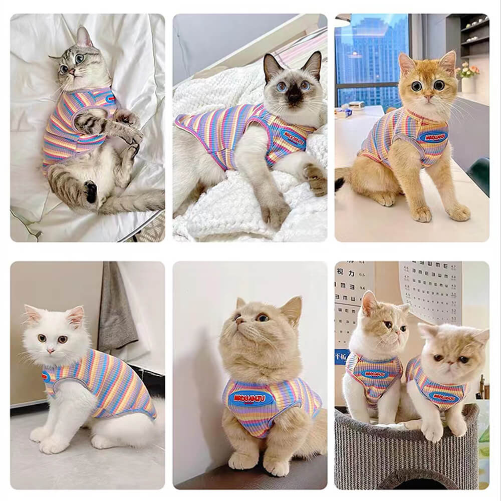 Camiseta sin mangas con diseño de gato a rayas de colores, bonita y cómoda camiseta para mascotas para gatos y perros