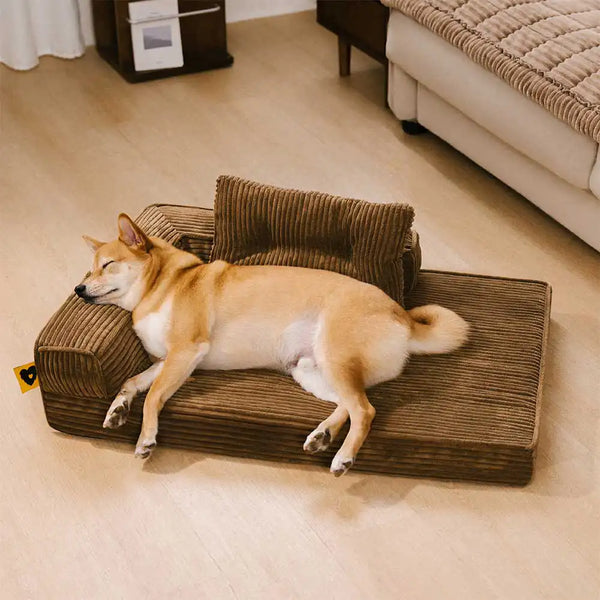 Cana de cana Anti -Scratch Exprovable Cama de perros ortopédica con almohada - COMFYSOFA