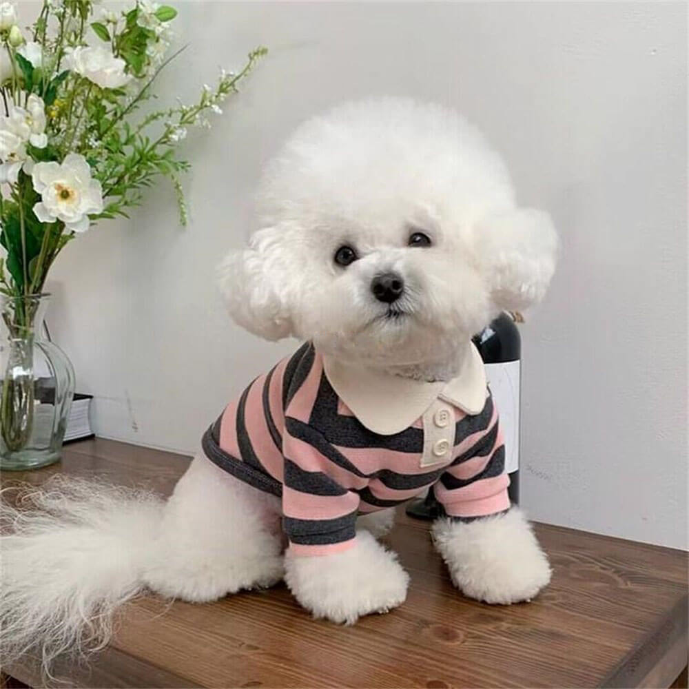 Classic Striped Polo Dog Shirts