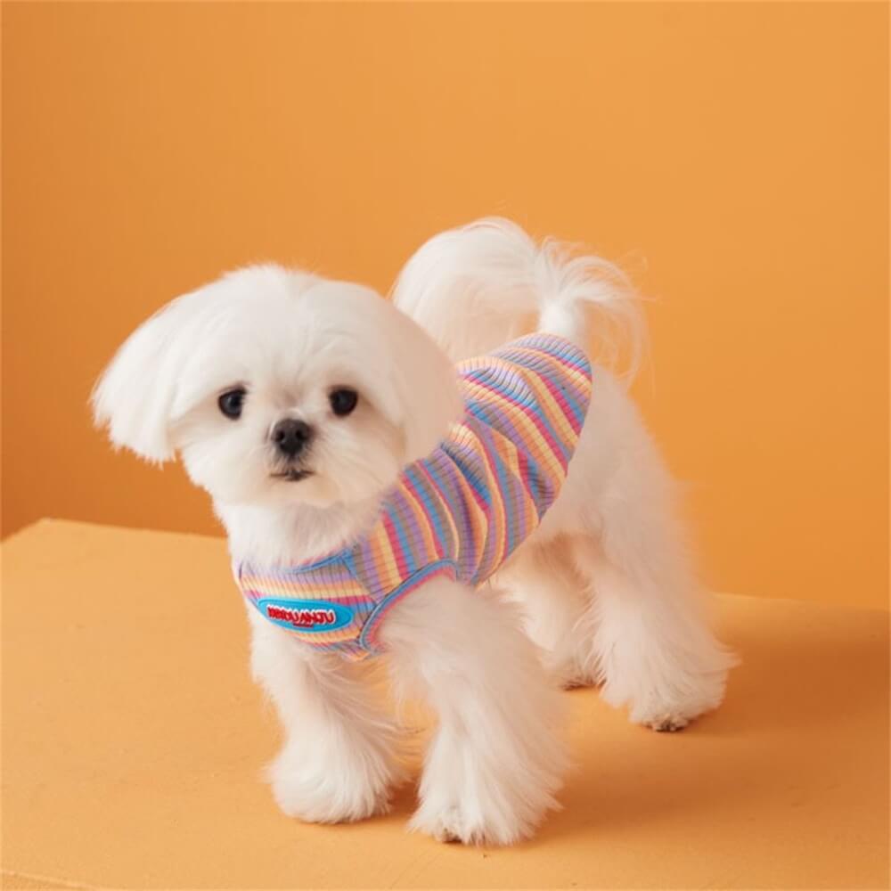 Colorful Striped Cozy Cat and Puppy Tank Top