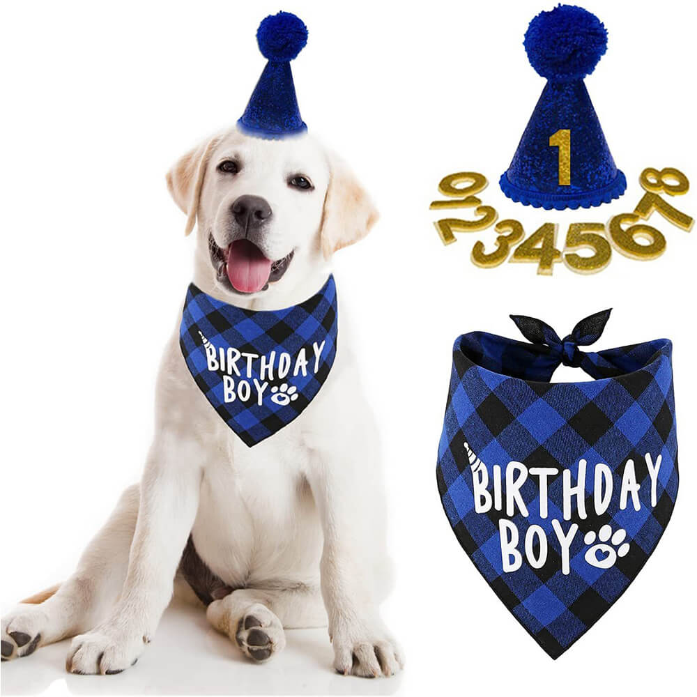 Set de fiesta de cumpleaños para perro, niño y niña, bandana y sombrero de cuadros azules con pegatinas numéricas