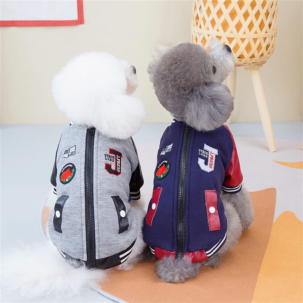 Trendy Dog Varsity Jacket - Stylish and Fun for Small Dogs